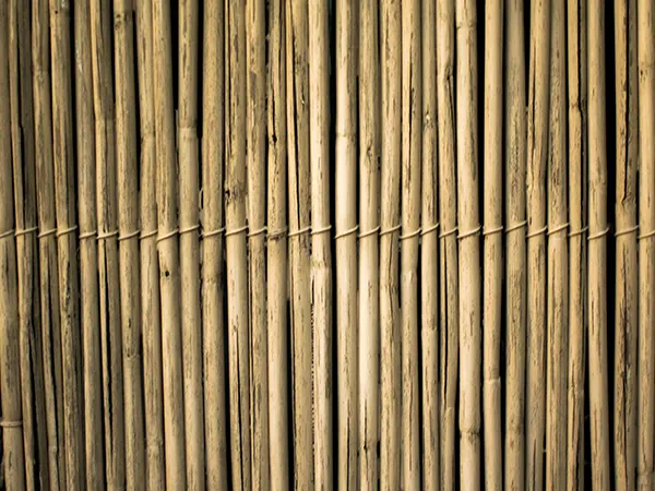 bamboo-privacy-wall