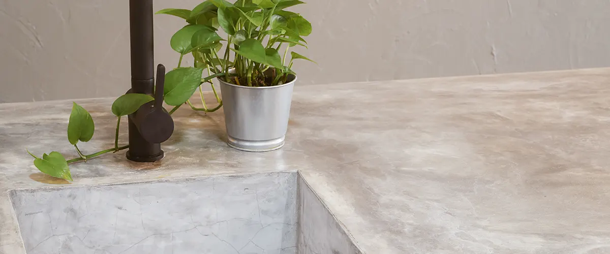 green-plant-concrete-countertop