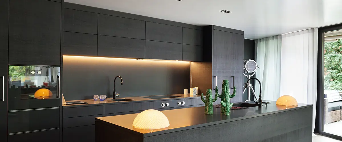 Black modern kitchen with clean and simple black cabinets