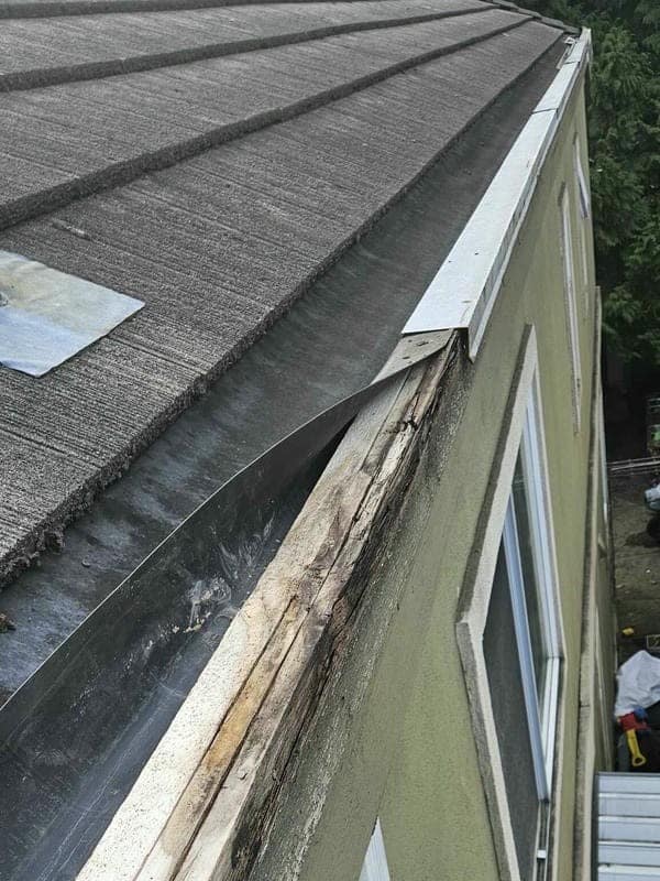 20250318_140527 20250318_140527