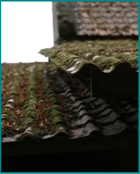 _C&C Regular Maintenance Mockup (3)