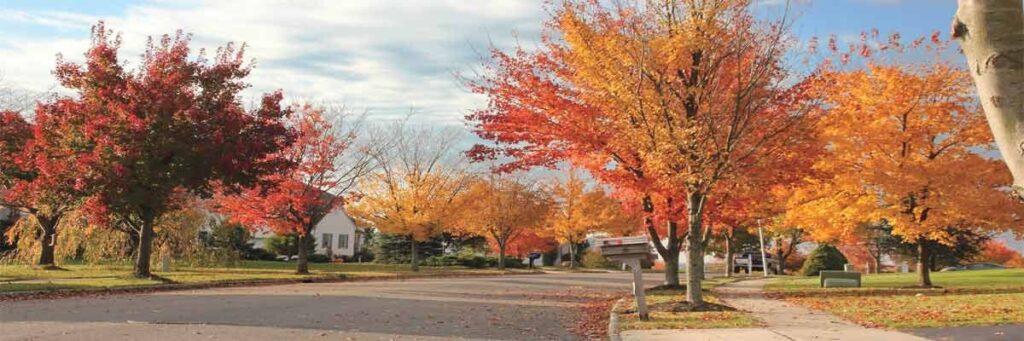 Autumn street scene with vibrant red and orange trees, showcasing seasonal foliage in a residential area, relevant to home maintenance and gutter cleaning challenges.