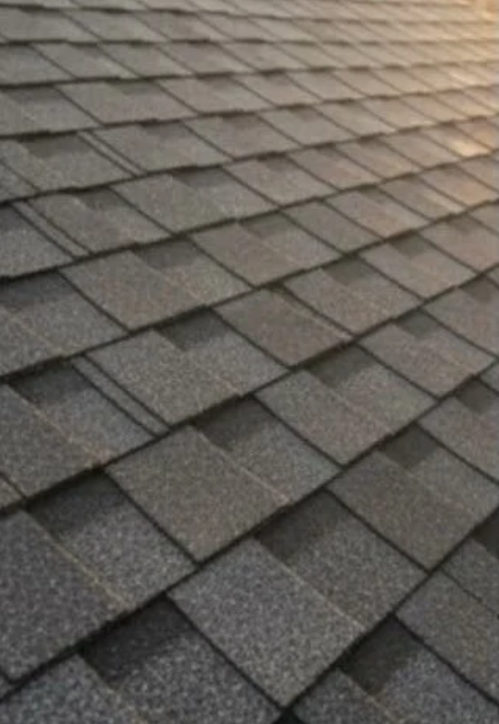 Restored shingles after ReViva treatment
